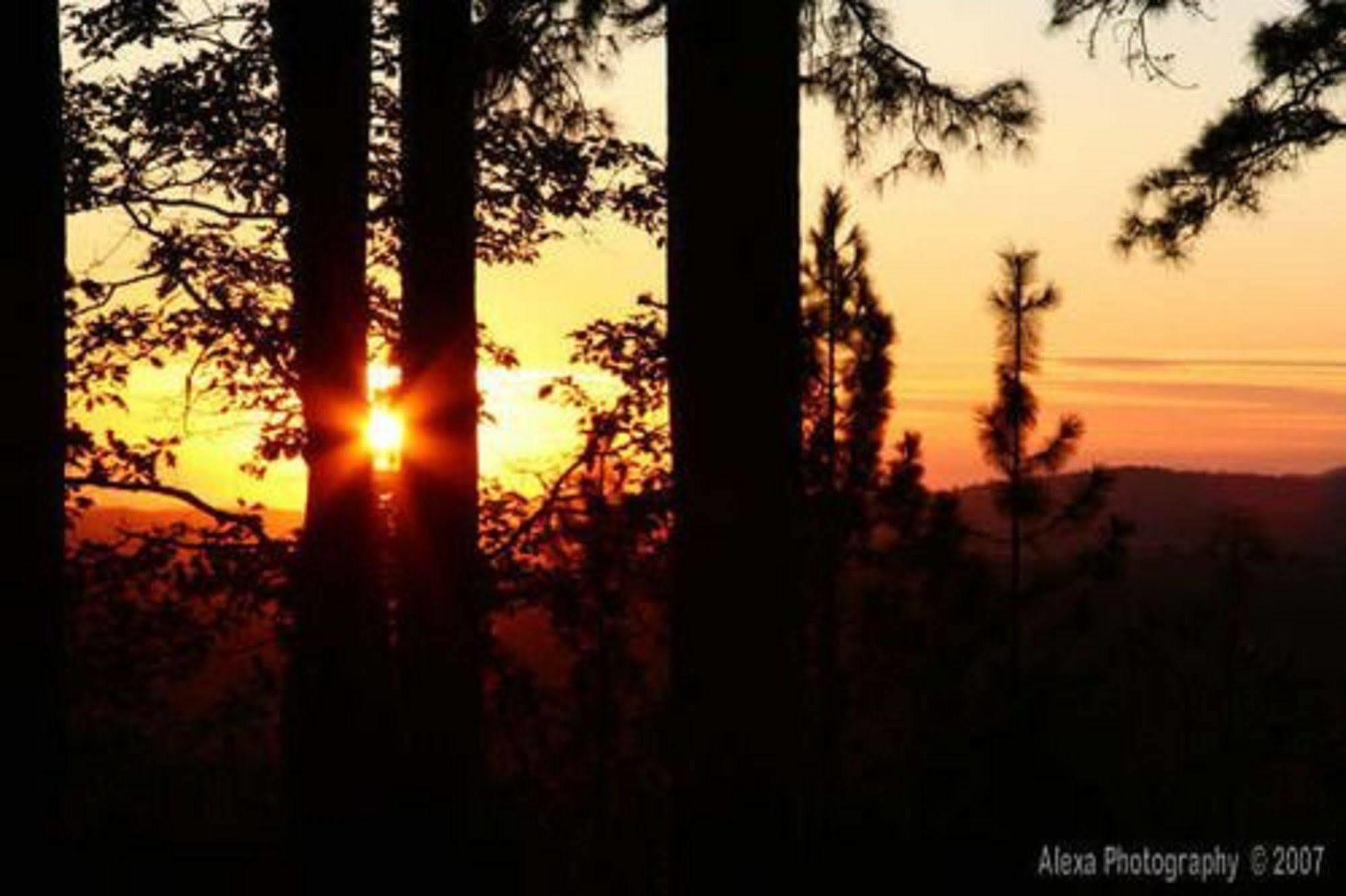 Sierra Sun Cloud Inn - Colfax (Adults Only) Esterno foto